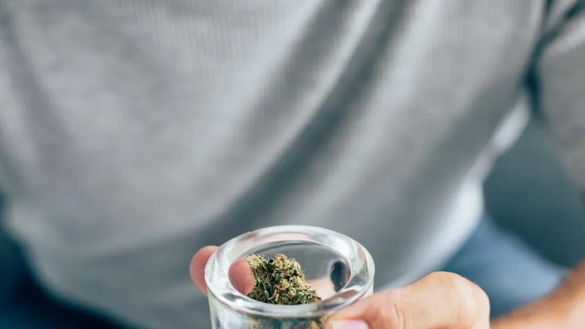 2,5 ans d’avance : l’écart d’âge d’entrée dans la psychose chez les usagers de cannabis