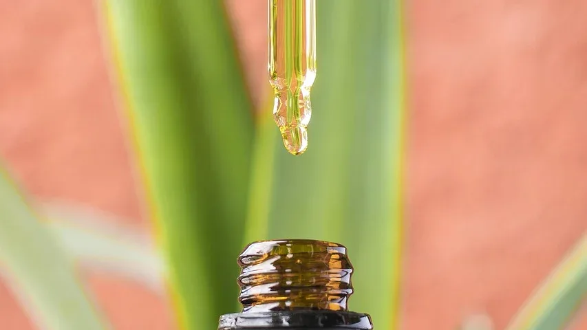 cbd oil
