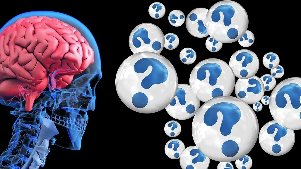 brain