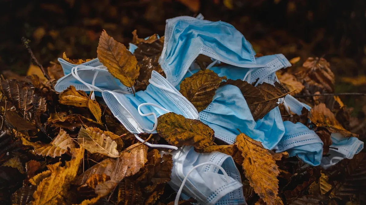 leaves