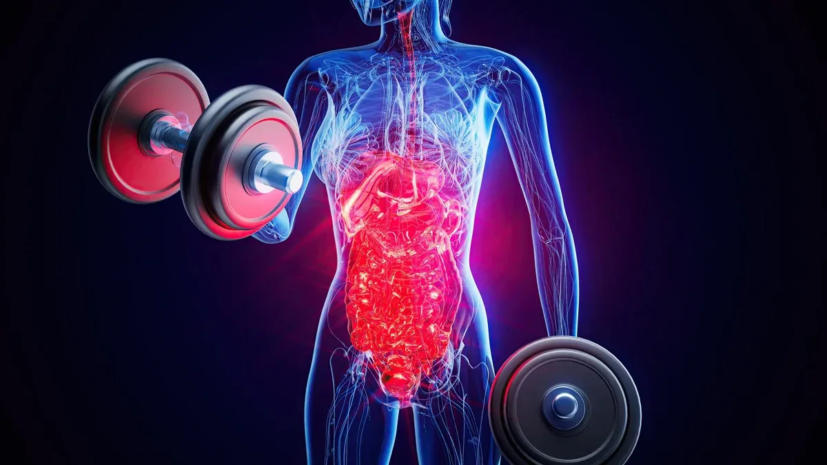 L'anatomie d'une femme à rayons X faisant des boucles de biceps