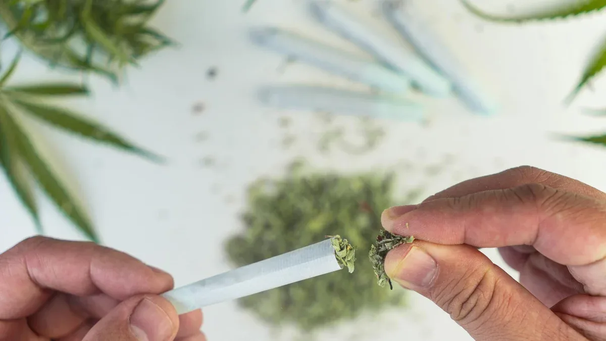 Préparation et roulage de marijuana cannabis joint Drogues concept narcotique Gros plan légalisation des drogues légères