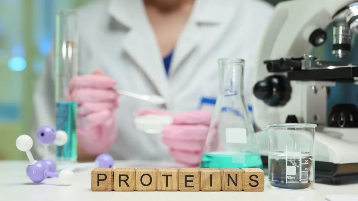 Manque-t-on vraiment de protéines au point d’acheter des produits « protéinés » ?