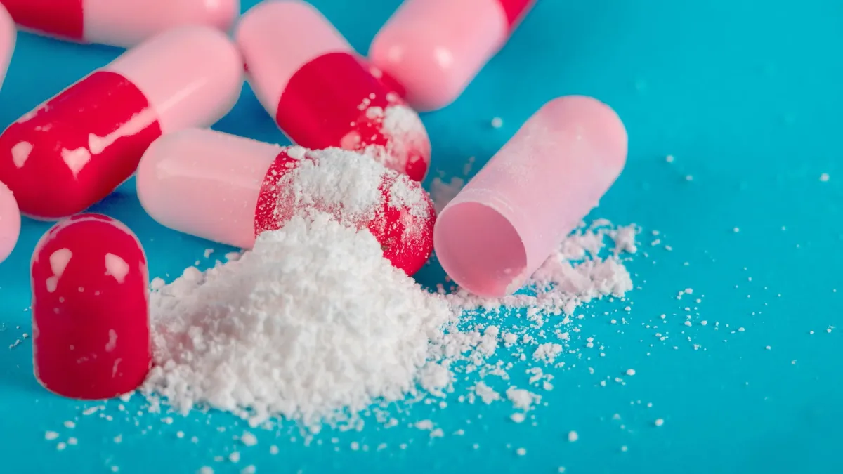 Pourquoi le sucre pris sous antibiotiques peut aggraver l’appauvrissement du microbiote intestinal